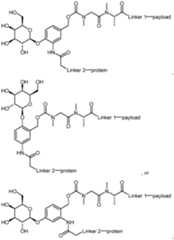 Figure imgf000180_0001