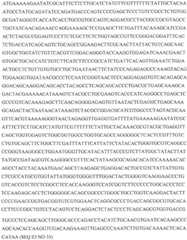 Figure GDA0002870045410000951