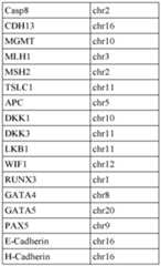 Figure imgf000047_0001