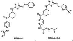 Figure imgb0291