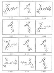 Figure 112008039273174-PCT00191