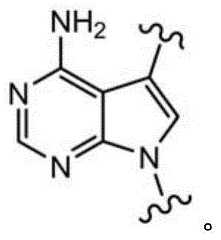 Figure BDA0003670511740001486