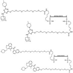 Figure imgf000320_0001