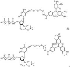 Figure BDA0003670511740002971