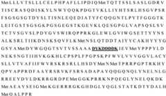 Figure BDA0001822000330000121