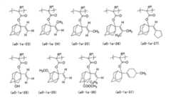 Figure 0007394591000013