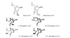 Figure imgf000387_0001