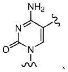 Figure BDA0003670511740001854