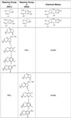 Figure imgf000176_0001