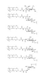 Figure 112009026250918-PCT00206