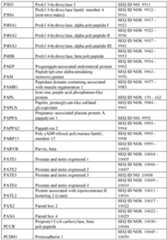 Figure imgf000396_0001