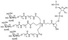 Figure imgf000260_0001