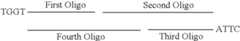 Figure US08043829-20111025-C00005