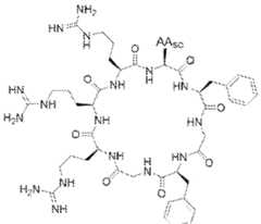 Figure imgf000111_0002