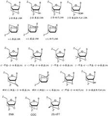 Figure BDA0003702321910000271