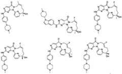 Figure PCTCN2019113622-APPB-100020