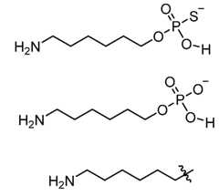 Figure imgf000157_0001