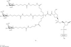 Figure US09181550-20151110-C00243