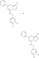 Figure US07119200-20061010-C01440