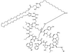 Figure imgf000006_0001