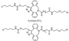 Figure imgf000005_0004