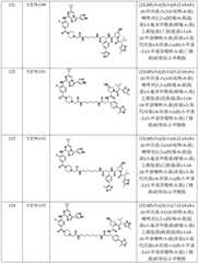 Figure BDA0002964098100002801