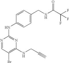 Figure US07504410-20090317-C00191
