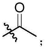 Figure FDA0004216827470000032