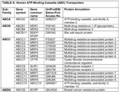 Figure imgf000008_0001