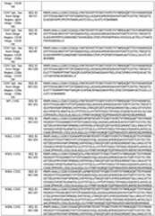 Figure imgf000126_0001