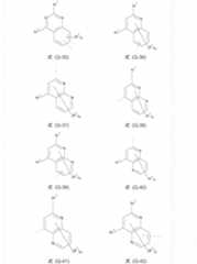 Figure 2022506382000019