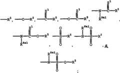 Figure F2009101755258C00022