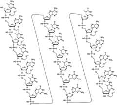 Figure FDA0003319162440000091