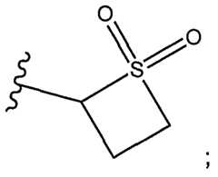 Figure imgf000009_0004