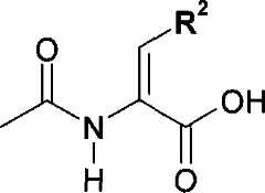 Figure A2006800095860040C1