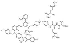 Figure imgf000431_0001