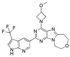 Figure BDA0001402557760002061