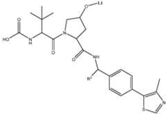 Figure imgf000559_0001