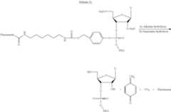 Figure US11786599-20231017-C00188