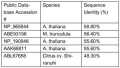 Figure imgf000023_0002