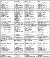 Figure BDA0001349734580004241