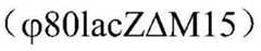 Figure BDA0002428329740000031