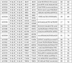 Figure BDA0002715438180001011