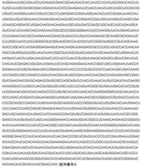 Figure 2024542085000014