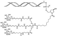 Figure imgf000005_0002
