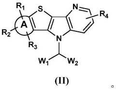 Figure BDA0002170659700000041