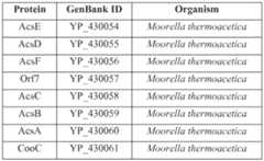 Figure imgf000231_0001