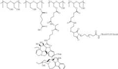 Figure US08685383-20140401-C00273