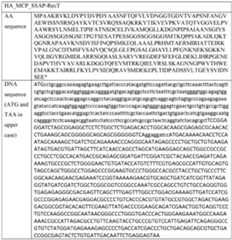 Figure imgf000086_0001