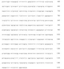 Figure 108123466-A0305-02-0610-587